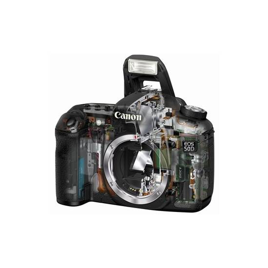 Canon EOS 50D body